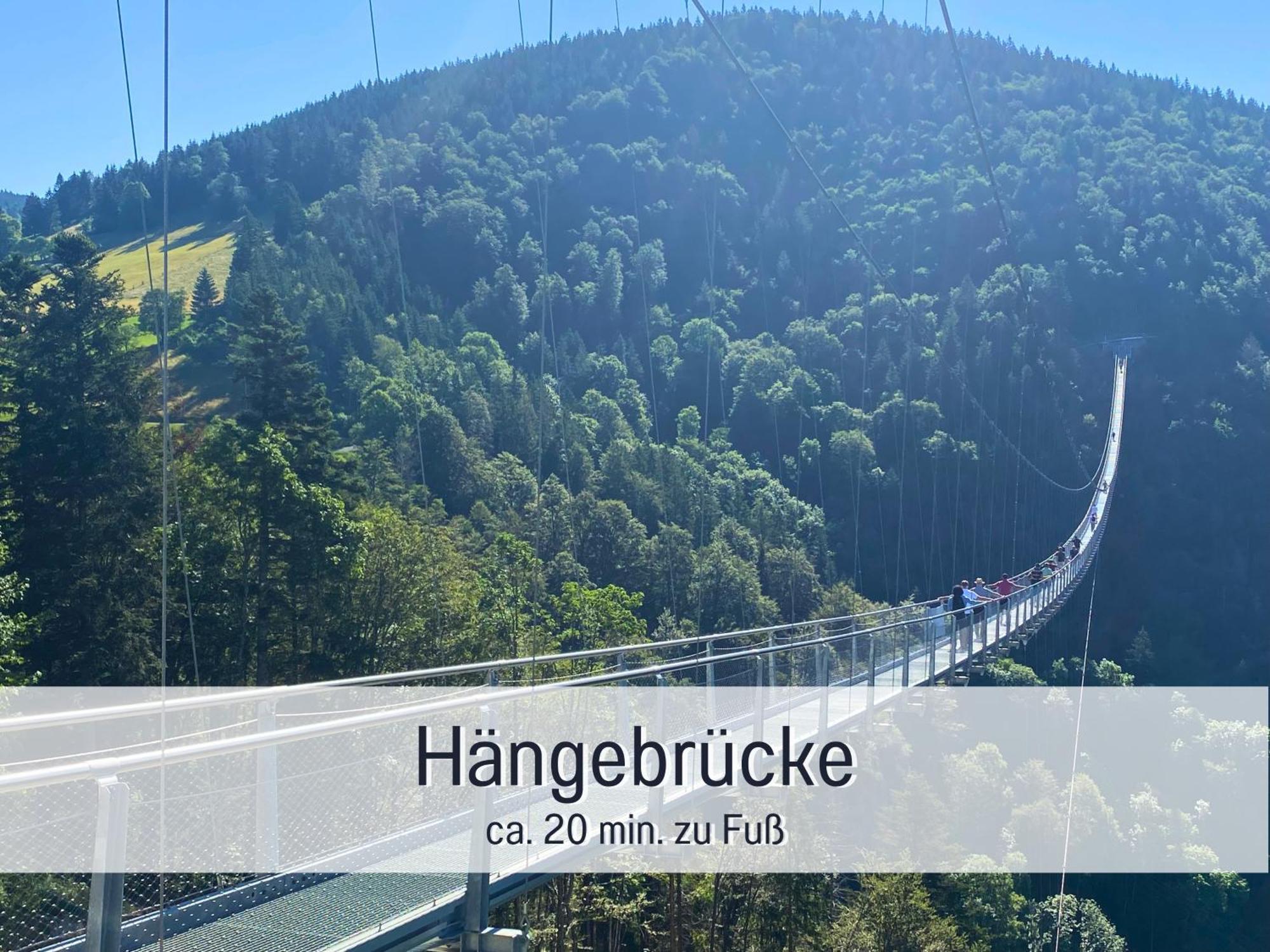 Herzgruen Direkt An Traumhaften Wanderwegen Balkon Mit Toller Aussicht Sauna Im Haus Tiefgarage E-Ladestation Todtnauberg Exteriör bild