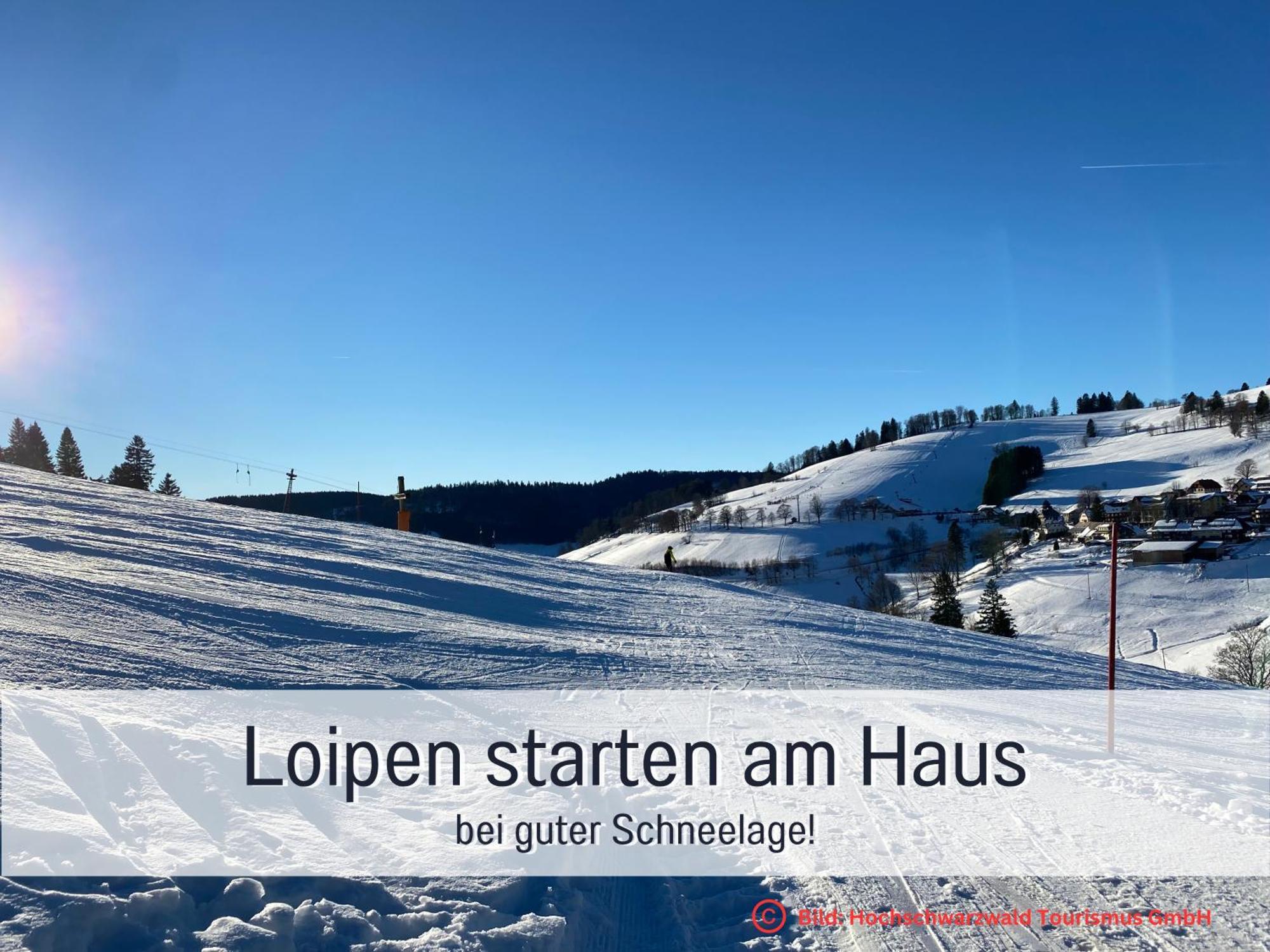 Herzgruen Direkt An Traumhaften Wanderwegen Balkon Mit Toller Aussicht Sauna Im Haus Tiefgarage E-Ladestation Todtnauberg Exteriör bild