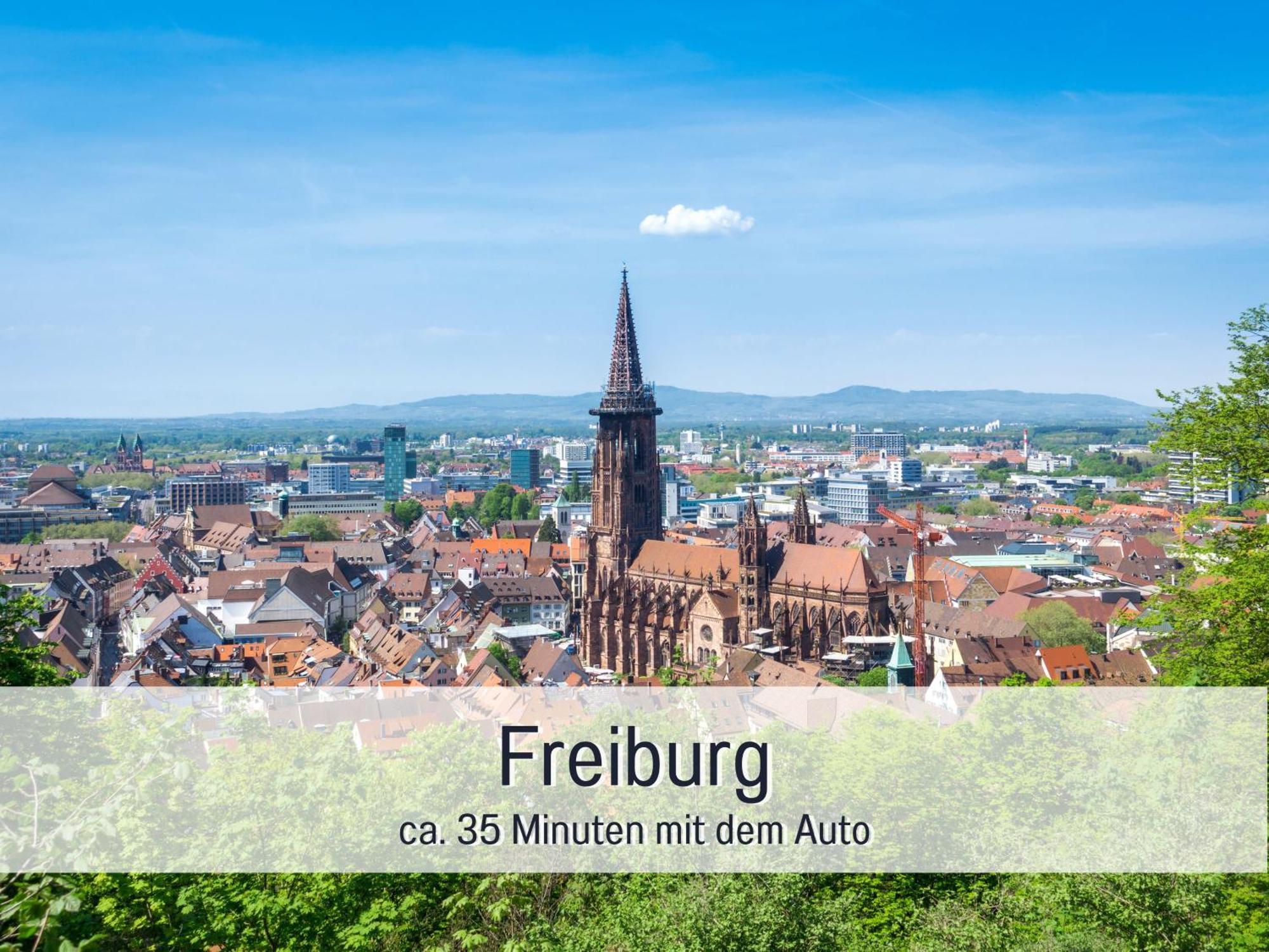 Herzgruen Direkt An Traumhaften Wanderwegen Balkon Mit Toller Aussicht Sauna Im Haus Tiefgarage E-Ladestation Todtnauberg Exteriör bild
